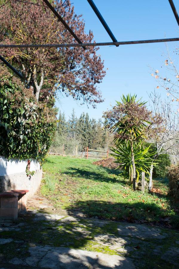 Apartamento Rural Cristi Ronda Exterior foto