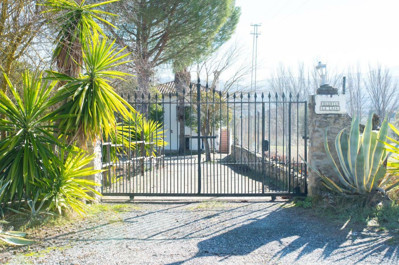 Ferienwohnung Apartamento Rural Cristi Ronda Exterior foto