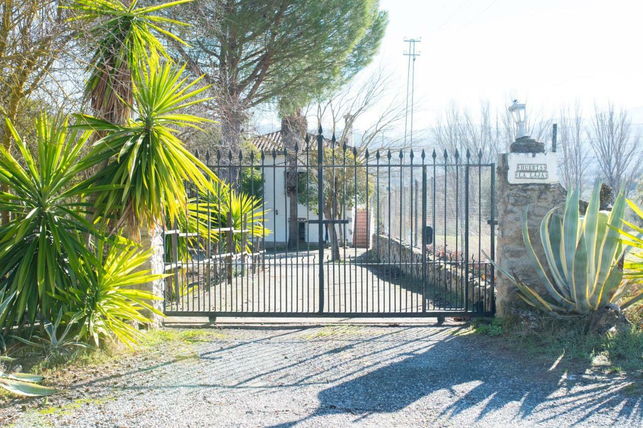 Apartamento Rural Cristi Ronda Exterior foto